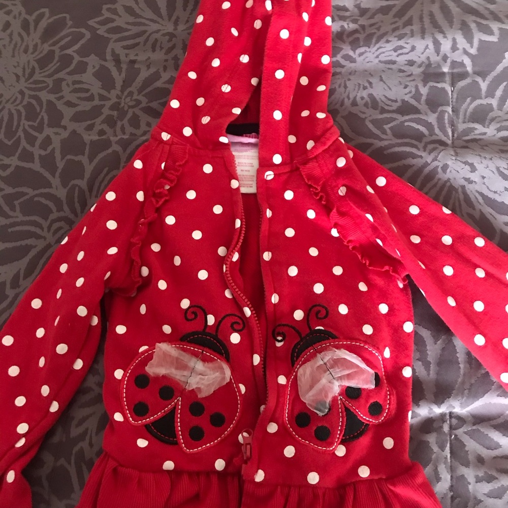 Size 2T Red Polka Dots Sweater with Ladybug